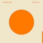 Chip Wickham - Sais (Egypt)