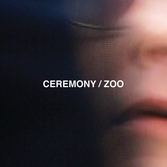 Cover artwork for Citizen
