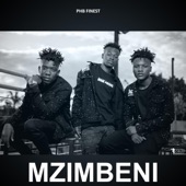 Mzimbeni artwork