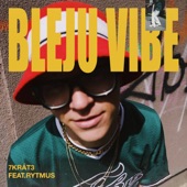 Bleju vibe (feat. Rytmus) artwork