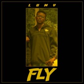 Fly artwork