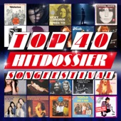 TOP 40 HITDOSSIER - Songfestival artwork