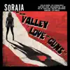 In the Valley of Love and Guns album lyrics, reviews, download