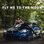 Fly Me To The Moon artwork