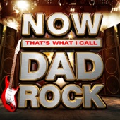 NOW That's What I Call Dad Rock artwork