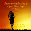 Cleanse Pineal Gland & Open Third Eye: Native Flute & Drums (Solfeggio 852 & 963 Hz) album lyrics, reviews, download