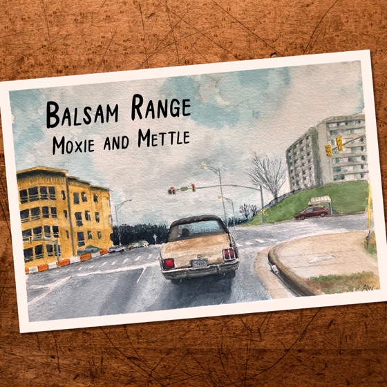 Cover artwork for Grit and Grace