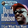 The Legendary Henry Stone Presents: David Hudson, featuring Honey Honey, I Got What You Want, 2005