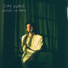 Before We Knew artwork