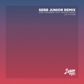Let It Flow (Sebb Junior Remix) artwork