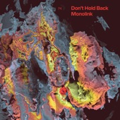 Don't Hold Back (Edit) artwork