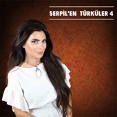 Serpil'en Türküler (4) artwork