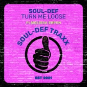 Turn Me Loose (Extended Mix) artwork