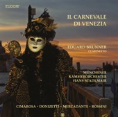 Il carnevale di Venezia artwork
