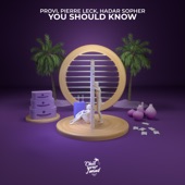 You Should Know artwork