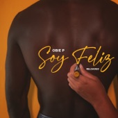 Soy Feliz (Reloaded) artwork