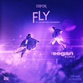 Fly (Segan Remix) artwork