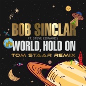 World Hold On (feat. Steve Edwards) [Tom Staar Remix] artwork