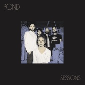 Pond - Don't Look at the Sun (Or You'll Go Blind) [Live]