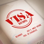 Visa (Remix) artwork