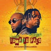 Toma Tu Palo artwork