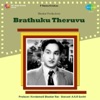 Brathuku Theruvu (Original Motion Picture Soundtrack) - EP