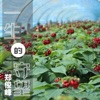 郑俊峰 - 一生的守望