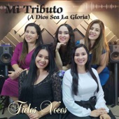 Mi Tributo (A Dios Sea La Gloria) [Demo] artwork