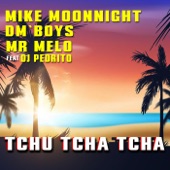 Tchu Tcha Tcha (RADIO EDIT) [feat. Dj Pedrito] artwork