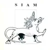 On the Street Tonight (Siam 1981) [Siam 1981] - Single album lyrics, reviews, download