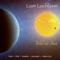 Harvester - Liam Lochlainn lyrics