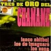 3 de Oro del Chamamé