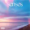 Senses - Single album lyrics, reviews, download