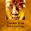 Third Eye Meditation: Chakra Healing Frequencies, Visualization, Spiritual Opening, 7 Layers Activation, Tibetan Music album lyrics, reviews, download
