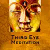 Stream & download Third Eye Meditation: Chakra Healing Frequencies, Visualization, Spiritual Opening, 7 Layers Activation, Tibetan Music