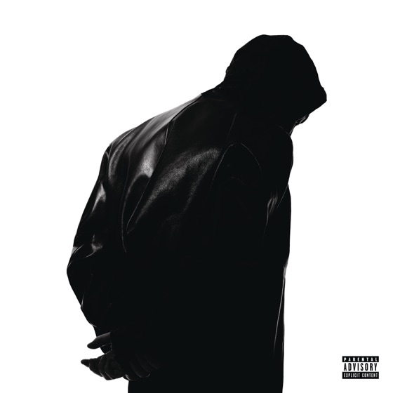 Cover artwork for Level 1