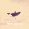 Notice Me - Single album lyrics, reviews, download