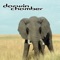 3D African Safari - Darwin Chamber lyrics