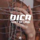 Lust or Love artwork
