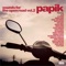 A World Apart - Papik & The Soultrend Orchestra lyrics