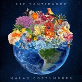 Malas Costumbres (feat. Charly Benavente) artwork