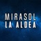 Cabizbajo (feat. Trilogía En Soliloquio) - Mirasol La Aldea lyrics