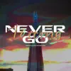 Never Letting Go - Single album lyrics, reviews, download