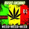 The Weed Weed Weed Song (feat. AP2TONE) - Single album lyrics, reviews, download