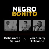 Negro Bonito (feat. Jose Alberto -" EL CANARIO") artwork