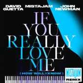 If You Really Love Me (How Will I Know) [MistaJam Remix Extended] artwork