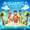 Aquafina - Single