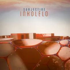 Inkolelo (Radio Edit) - Single by Goldie, James Davidson & Subjective album reviews, ratings, credits