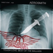 Aerosmith - Janie's Got a Gun (Single Version)