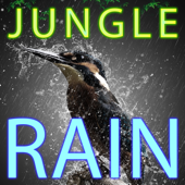 Jungle Rain With Animals (3 Minutes) - Jungle Nature Sound